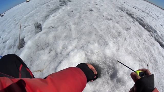 САЗАНЫ МОНСТРЫ РАЗГИБАЮТ БАГРЫ И РВУТ ЛЕСКИ!!! Трофейная рыбалка, последний лед, первый лед. смотреть онлайн