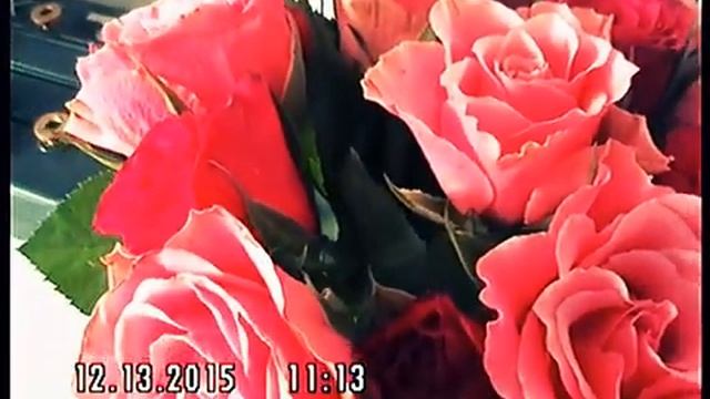 Dec13 15 Panasonic VDR-D220 miniDVD смотреть онлайн