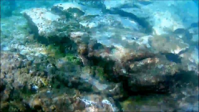 Las Galletas, Tenerife смотреть онлайн