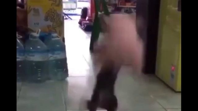 Кошка кидает на прогиб / The cat throws to the deflection смотреть онлайн