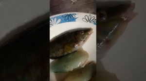 Анапа. Ловим рыбу зеленуху,  жарим и пробуем на вкус.