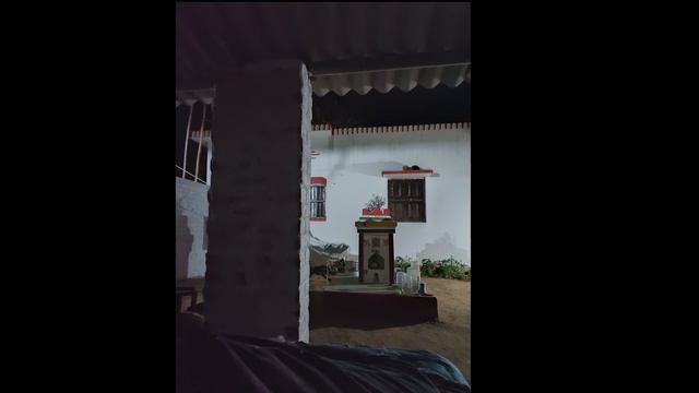 Oppo Reno 6 I Got My Camera Improved | Amazing Click!! смотреть онлайн