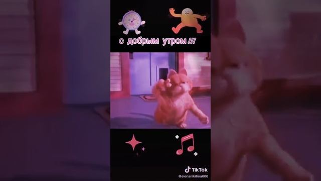 Как заваривать имбирь смотреть онлайн