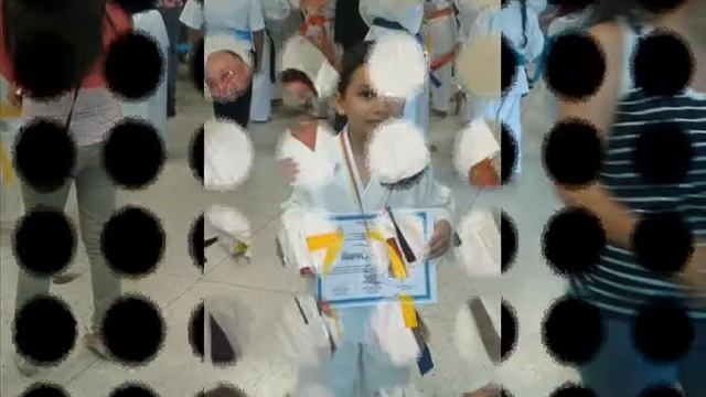 seido karate 23 смотреть онлайн