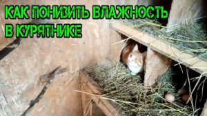 КАК ПОНИЗИТЬ ВЛАЖНОСТЬ В КУРЯТНИКЕ