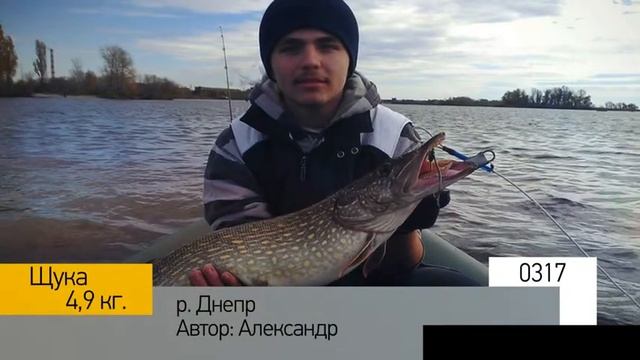 Фотоальбом - Рыбалка №63 смотреть онлайн