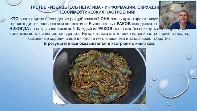 24.07.19 Система обучения. Моя история УСПЕХА. Спикер Елена Плищенко г.Ставрополь смотреть онлайн