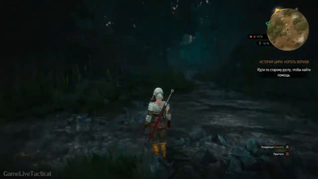 Прохождение Ведьмак 3: Дикая Охота (The Witcher 3: Wild Hunt) — Часть 11: Король Волков смотреть онлайн