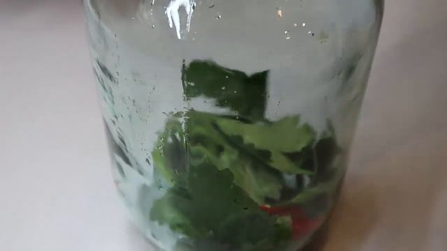 Маринованные помидоры с сельдереем. Как вкусно мариновать помидоры смотреть онлайн
