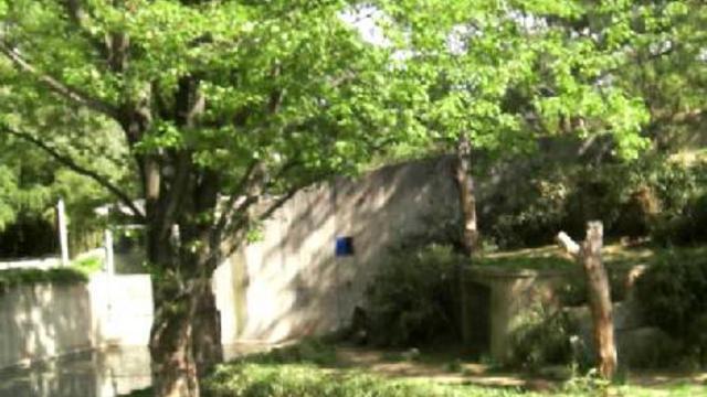 вашингтон зоо 010 смотреть онлайн