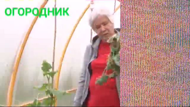 Смена телеканала СФС на телеканал Огородник (+глюки) смотреть онлайн