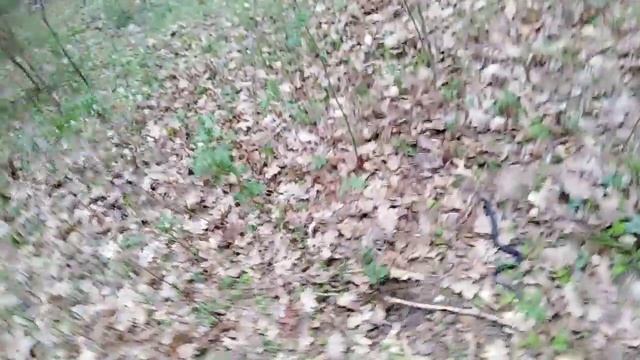 Уж или гадюка? смотреть онлайн