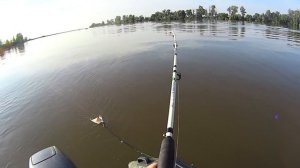 НАСАДИЛ ИХ И ПОНЕСЛОСЬ!!! РЫБАЛКА НА САМОГО БОЛЬШОГО ХИЩНИКА!