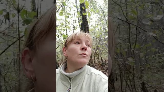 Анекдот про ворону смотреть онлайн