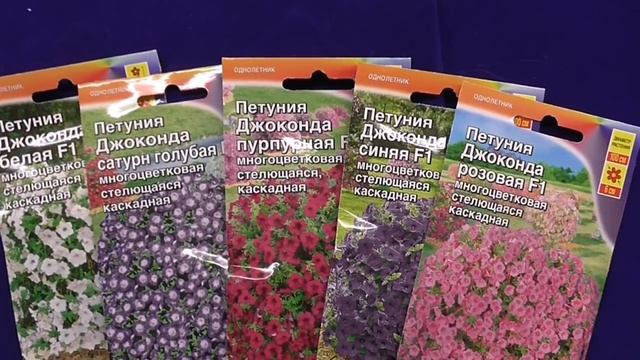 ЧТО ПОСЕЯТЬ В ЯНВАРЕ НА РАССАДУ смотреть онлайн