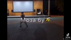 хьо са хаза моза бу , зебрах тера бу ??❤