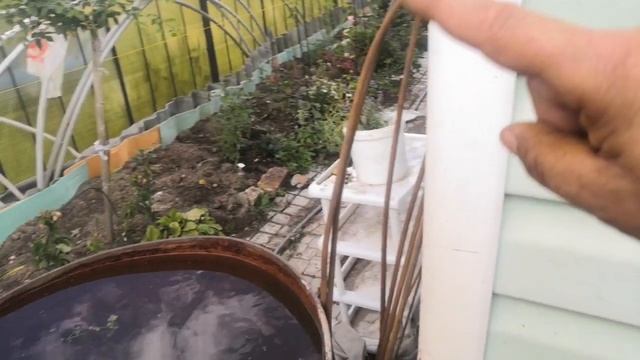 Опоры для роз, самодел смотреть онлайн