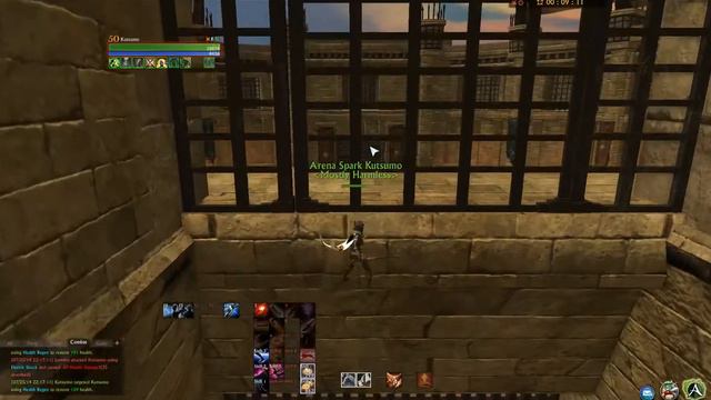 Archeage 1v1 Gladiator Arena - Outrider vs Arcanist смотреть онлайн
