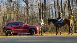 Лучший ДЖИП! Просто СЕКС! Jeep Grand Cherokee SRT Джип Гранд Чероки СРТ. Елена Лисовская. Лиса рулит