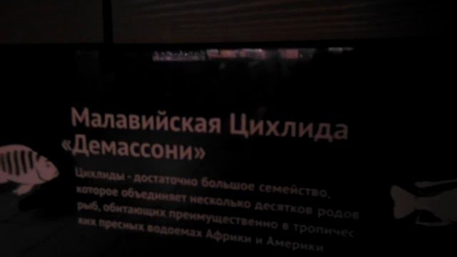 VID 20160529 113625 смотреть онлайн