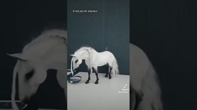 Жизнь моих миниатюрных лошадей | Часть 1 смотреть онлайн