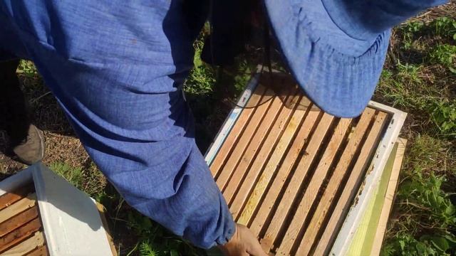 Карника или Бакфаст? Вечный батл? смотреть онлайн