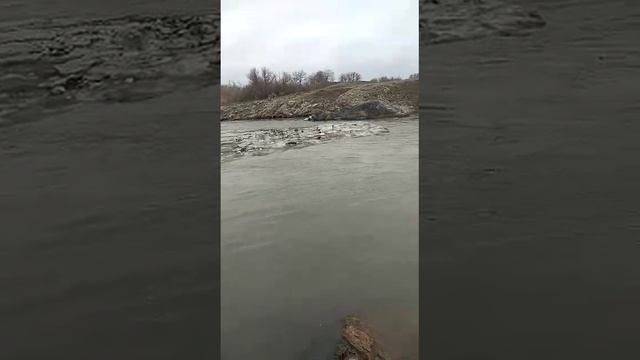Лепсы камни тронулся лёд смотреть онлайн