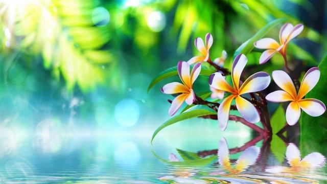 3 часа естественных звуков Нежный и крепкий СОН, глубокий релакс и успокоение relaxing sleep musi смотреть онлайн