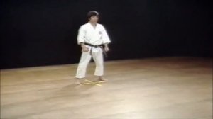 Ката Дзитте