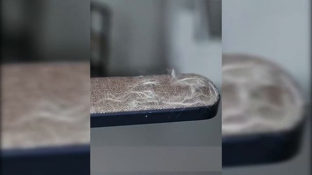 Щетка для уборки шерсти животных DBrush смотреть онлайн