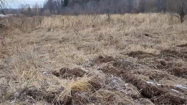 Я НА ДАЧЕ ЭТОЙ ОСЕНЬЮ ПИЛЮ ДРОВА смотреть онлайн