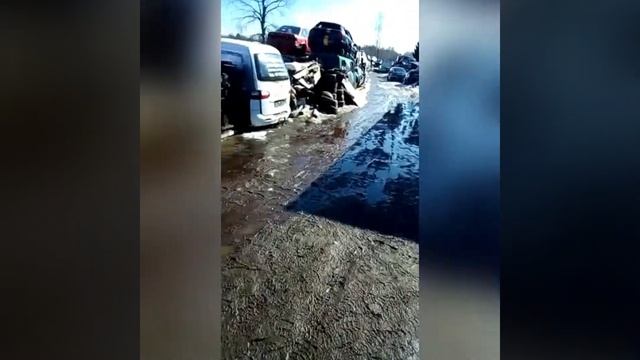 Разборка утилизированных автомобилей в Европе, контрактные запчасти из Европы. Краткий обзор. смотреть онлайн