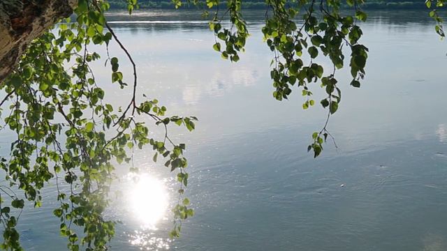 "БЫЛО ЛЕТО"... (Пейзажно-энтомологический этюд Галины Кан (Томск), музыка - Saint-Preux) смотреть онлайн