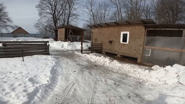 ЕМУ СТАЛО ПЛОХО... смотреть онлайн