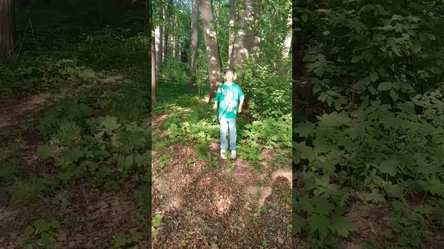 Желаю всем хорошего настроения! #лето#солнце#счастье смотреть онлайн