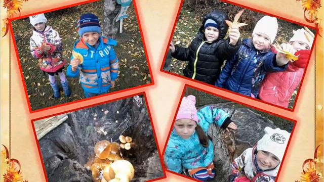 проект осень разноцветная СКАЗКА  2017