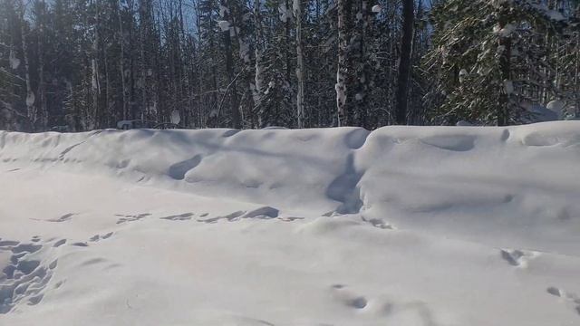 SOTKA-Т100 Проект по сборке трактора смотреть онлайн