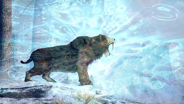 Wild Cat Meditation: Meeting a Power Animal Guide/Protector. смотреть онлайн