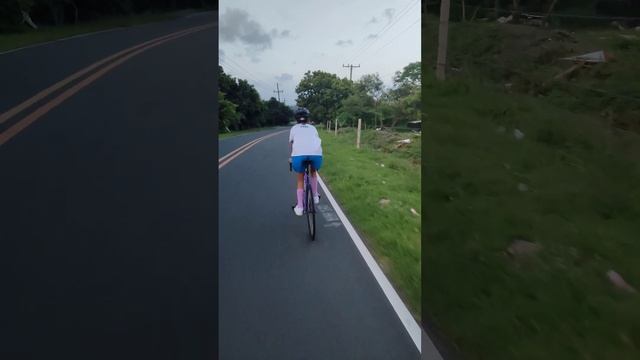 Tsunami SNM100 down hill whip skid смотреть онлайн