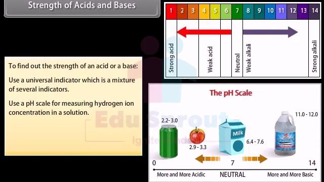 ? CBSE Syllabus Class 10 SCIENCE Lesson 1 - Acids, Bases And Salts | CBSE | NCERT | State Board | смотреть онлайн