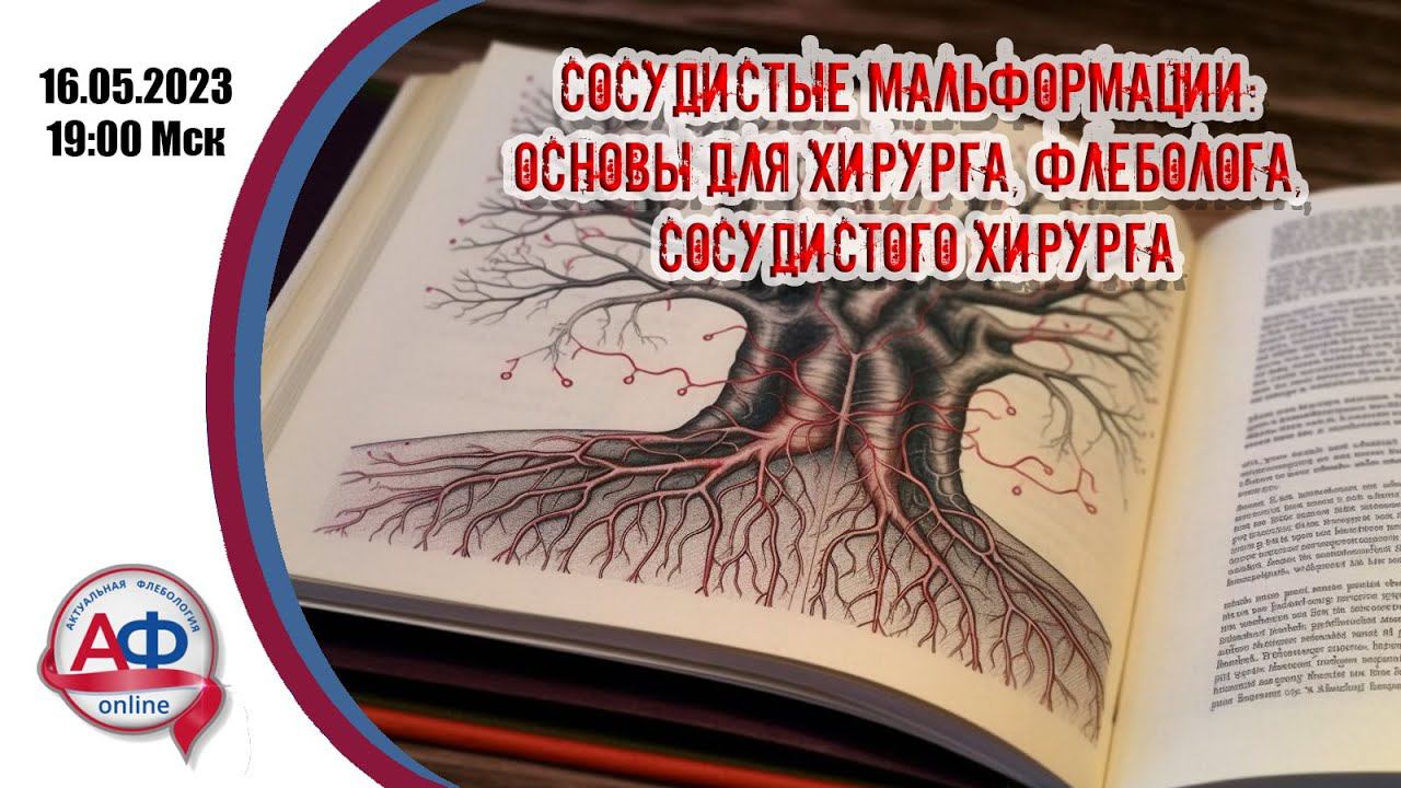 Сосудистые мальформации: основы для хирурга, флеболога, сосудистого хирурга смотреть онлайн