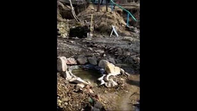 Родник Академгородка смотреть онлайн