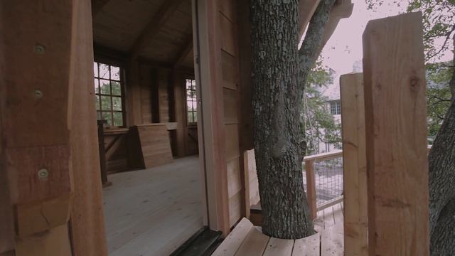 Treehouse Walkthrough: Quercus Treefort-icus смотреть онлайн