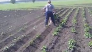 С благодарностью к «Старому пахарю»