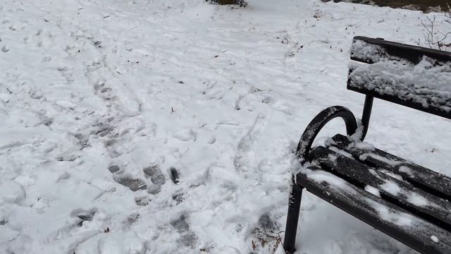 НАКОНЕЦ-ТО ВНУКИ УВИДЕЛИ СНЕГ! ЗАВТРА В АНТАЛИЮ! смотреть онлайн