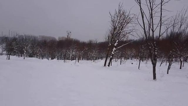 Солнечная долина, Минск, спуск на тюбинге, январь 2017 смотреть онлайн