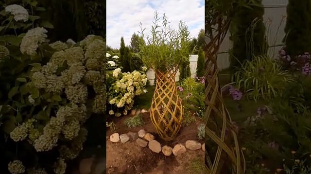 Видео отзыв❤️ Живое плетёное дерево из ивы в виде вазы ? смотреть онлайн