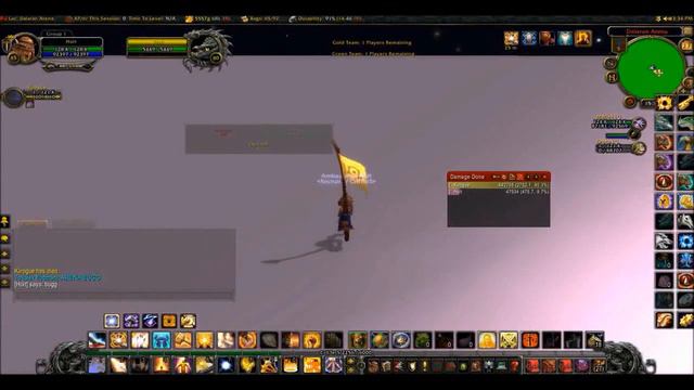 World of Warcraft Arena Bug(WoW)
