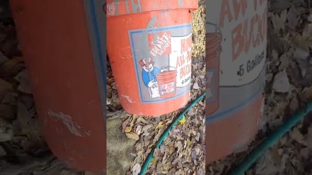 Bill Nye the druuunk guy! смотреть онлайн