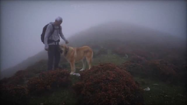 КАК ПЕРЕСТАТЬ БОЯТЬСЯ КРАСИВЫХ ДЕВУШЕК? СЕКРЕТ О КОТОРОМ Я НЕ ЗНАЛ! смотреть онлайн